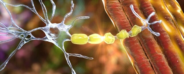 Your Brain Might Start 'Eating Itself' During Strenuous Endurance Exercise