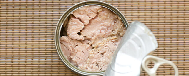 Tuna can