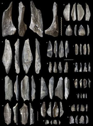 Discovery of 1.5-Million-Year-Old Bone Tools Rewrites Early Human