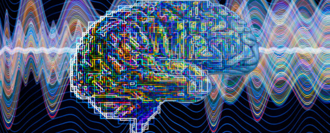 digital brain image