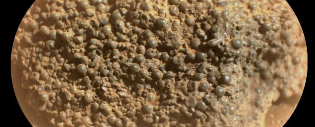 Extremely Weird Rock Found on Mars Looks Like Nothing Else Around It