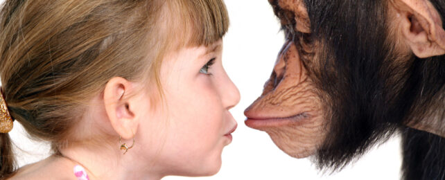 girl and chimp