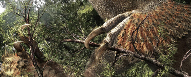 artist's impression showing a close-up of the large claws of a feathered reptile grasping foliage. its head and body are out of view.