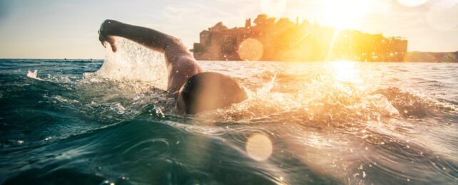 person swimming in the ocean