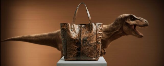 Dino Leather Handbag