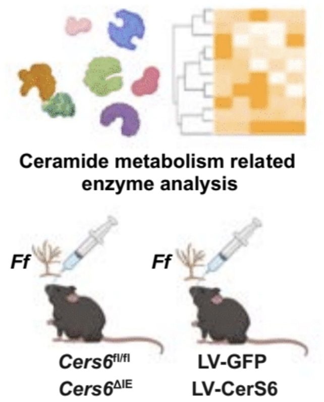 Enzyme analysis