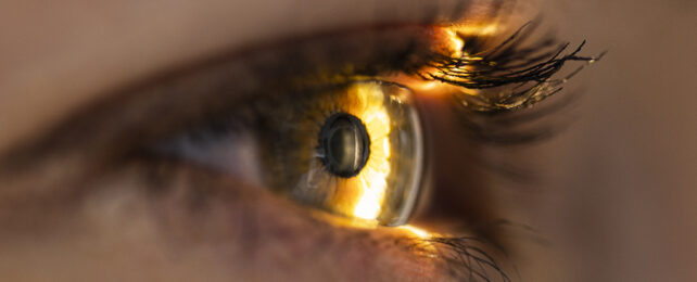Eye scan