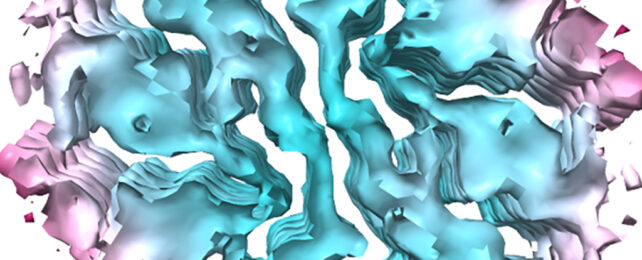 Fibril scan