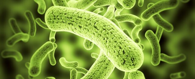 Scientists Engineer Bacteria to Make Soil And Crops 'Glow' Different Colors