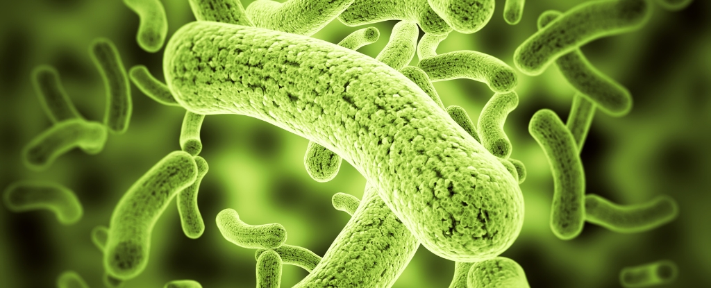 Scientists Engineer Bacteria to Make Soil And Crops 'Glow' Different Colors