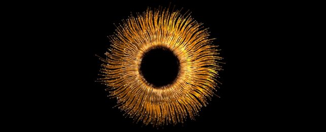 Golden Eye