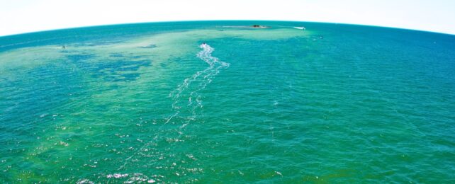 Earth's Oceans Were Once Green, Says Study of Volcanic Waters