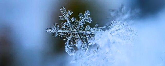 Study of 616 Languages Identified Which Had Most Words For 'Snow'