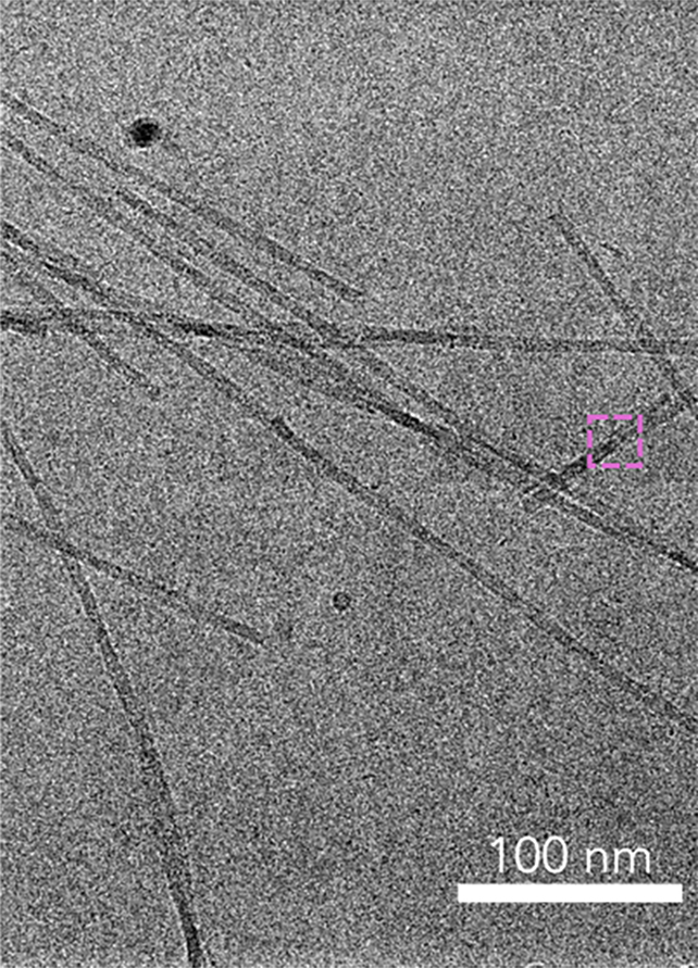 Formed fibrils