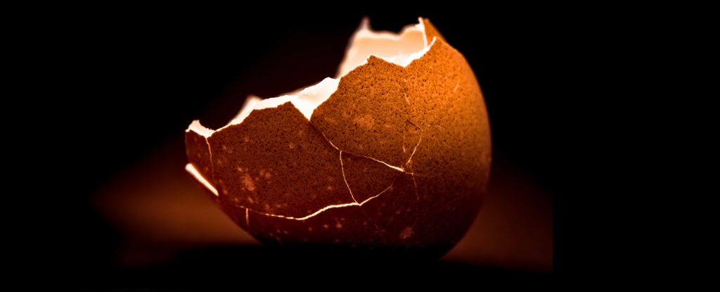 A Food Scientist Explains The Best Way to Peel a Boiled Egg