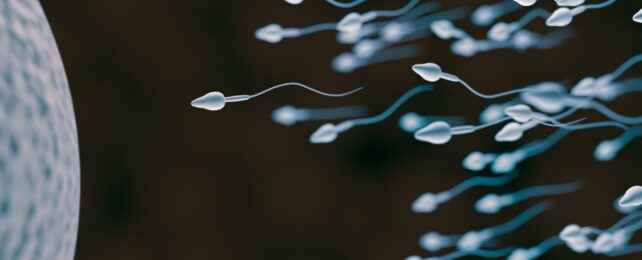 Hormone-Free Male Birth Control Pill Enters Clinical Trials For The First Time