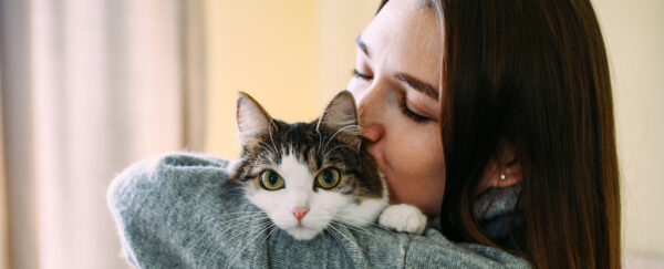 Image showcasing Do Cats Make Good Therapy Animals? It's Complicated. : ScienceAlert