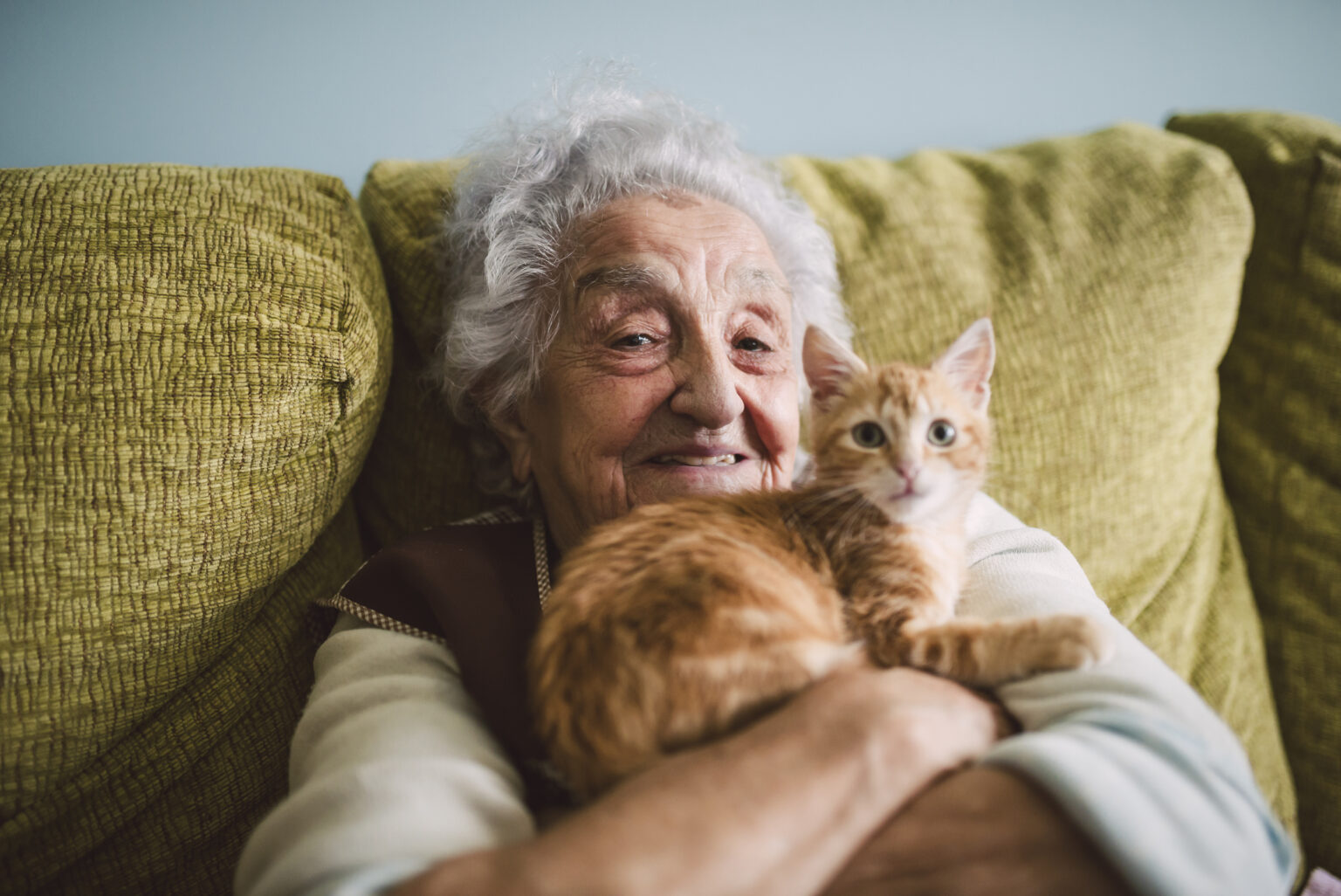 Do Cats Make Good Therapy Animals? It's Complicated. : ScienceAlert