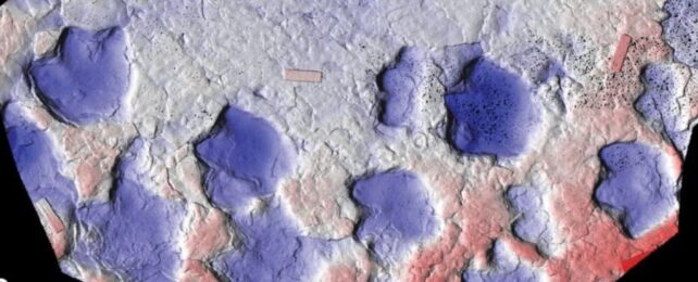Paleontologists Have Found The Three-Toed Footprints of Club-Tailed Dinosaurs
