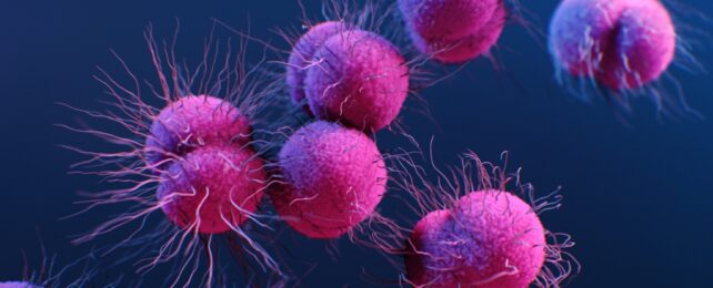bacteria illustration