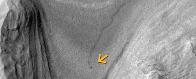 curiosity trail with arrow