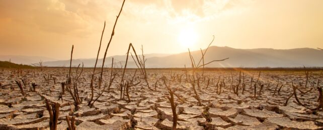 drought landscape