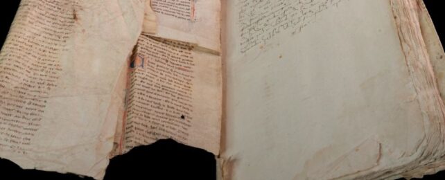 Rare Arthurian Sequel Featuring Merlin Found Binding Medieval Record