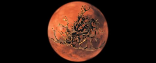 a picture of reddish mars on a black background is overlaid with an image of a brown, branching lichen.