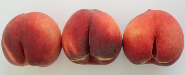 three peaches