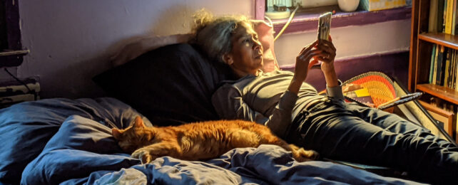 person lying in bed with smartphone and cat