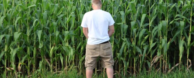 man urinating outdoors