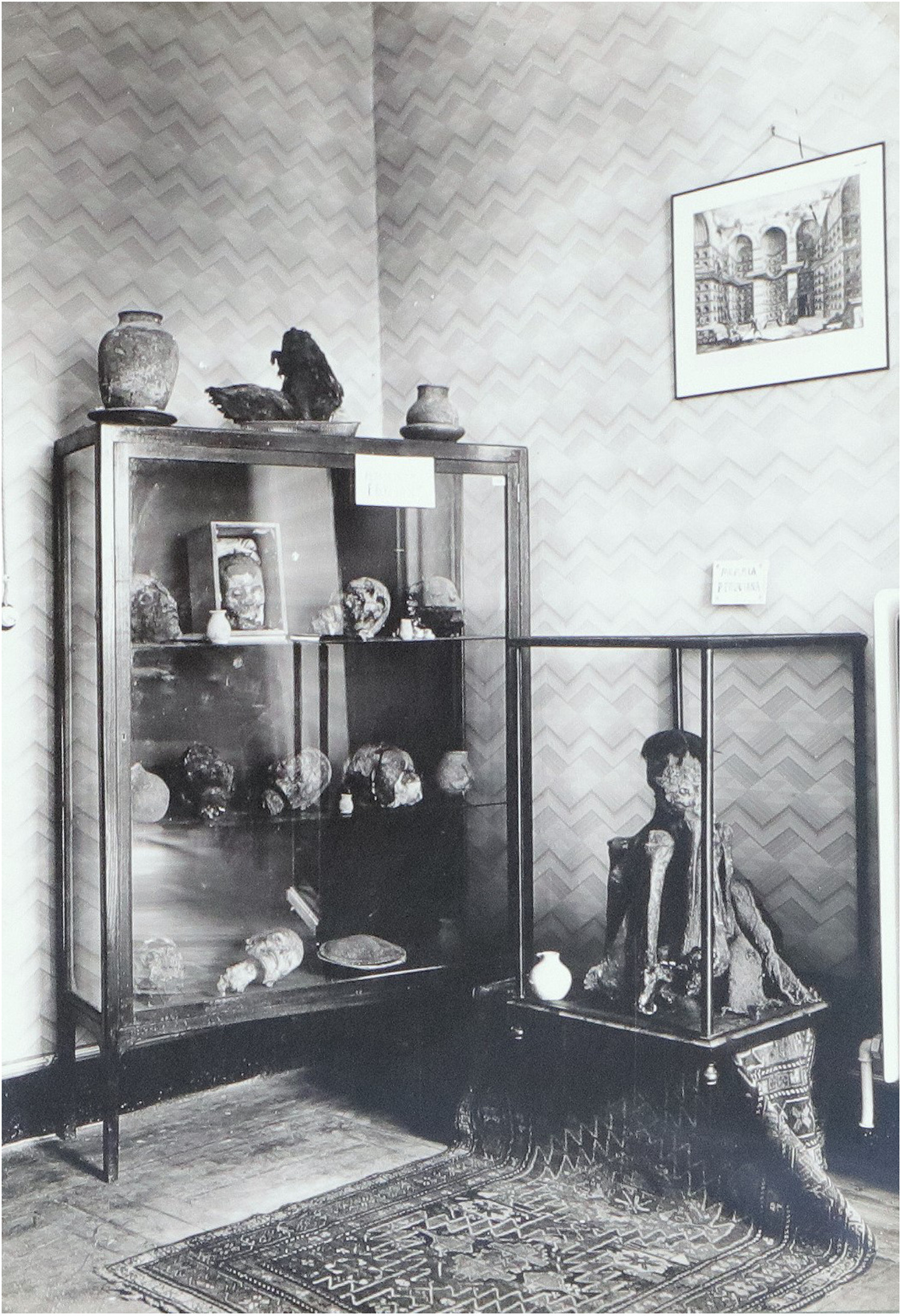 a black and white photo shows the mummy in a glass case, alongside another glass case that contains approx 11 mummified heads and some other objects. the room has a patterned rug on the floor, zigzag wallpaper, and a photo of ancient archways framed and hanging above the glass case.