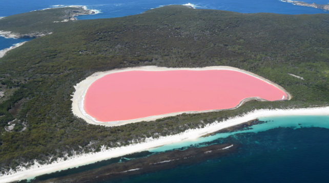 pink lake