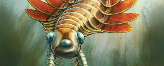 An illustration of a bizarre creature with red flaps and three blue eyes