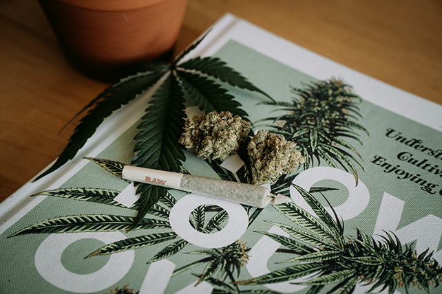 Cannabis gear