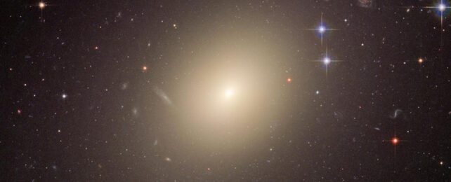 Elliptical galaxy ESO 325-G004