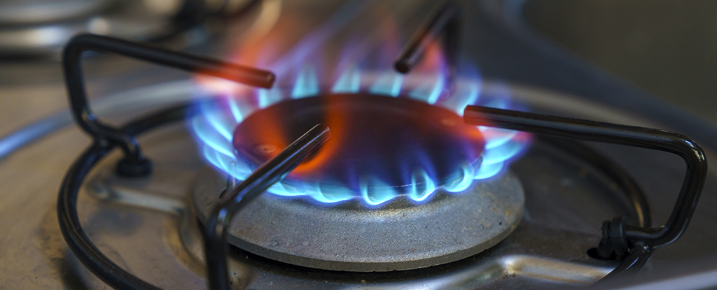 Children's Cancer Risk From Gas Stoves Nearly Double That of Adults