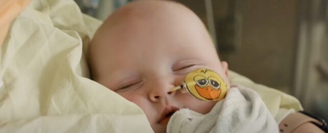 A sleeping baby