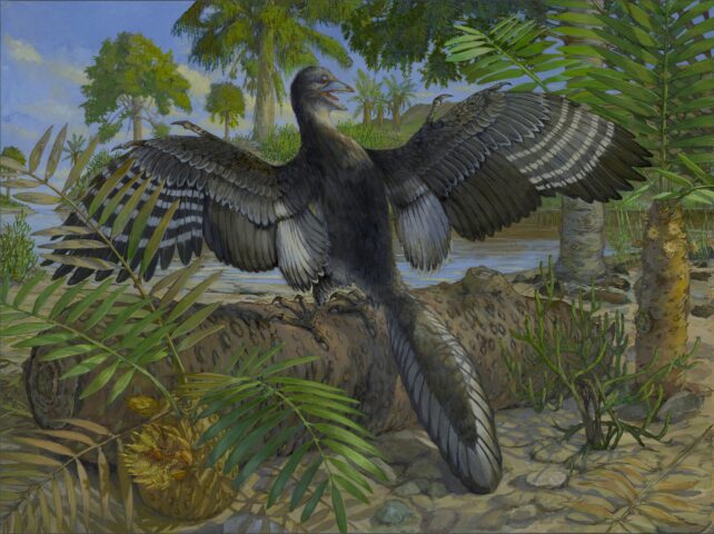 Artistic Reconstruction Archaeopteryx