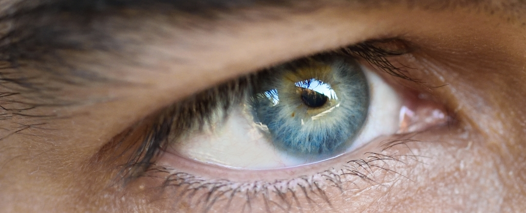 TikTok Trend Has Men Shaving Their Eyelashes - Here's Why You Shouldn't