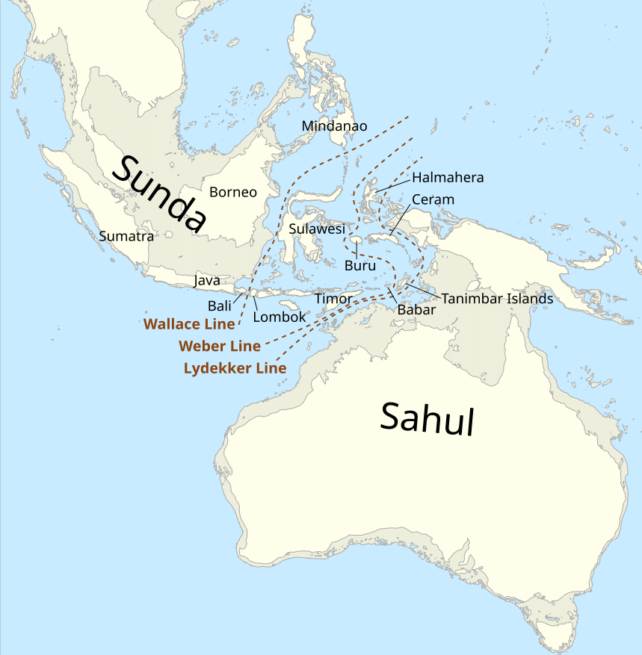 Sunda Shelf