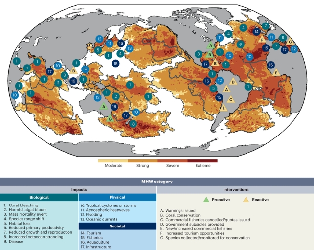 Map showing where marine heatwaves struck and listing the impacts