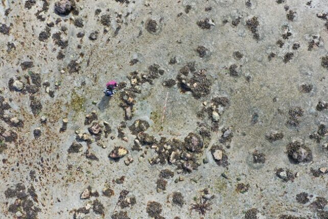 Skye Circles
