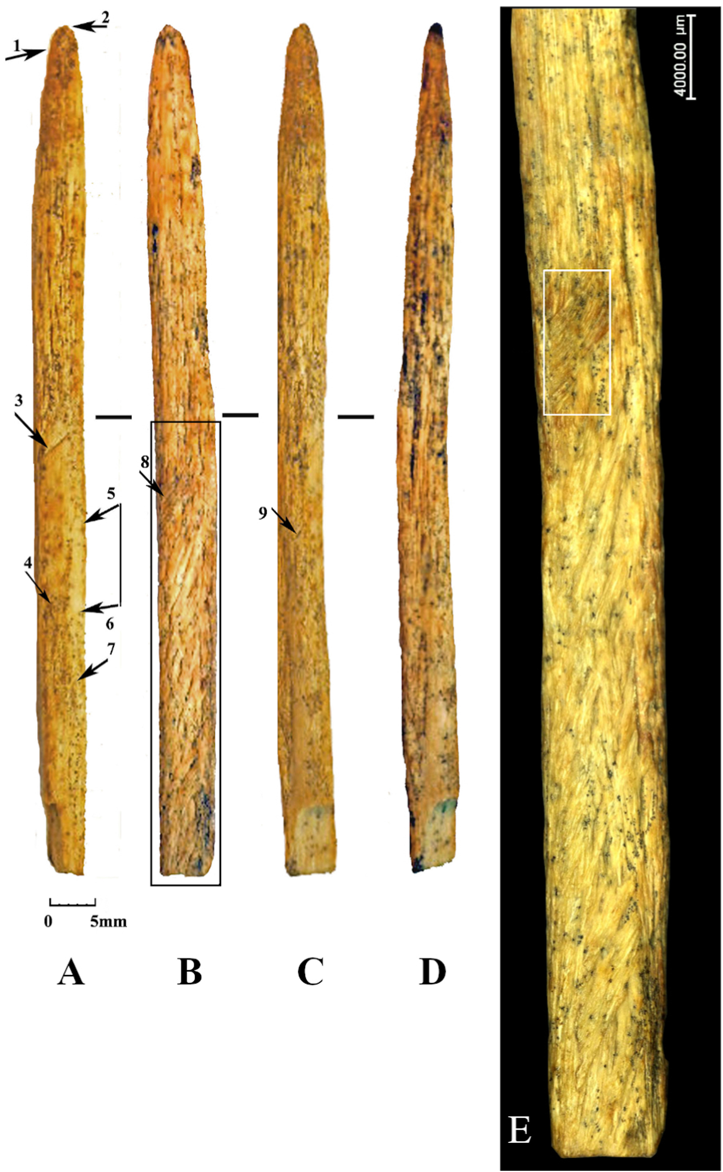Five photos of the spear tip