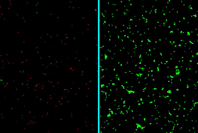 Neuron results