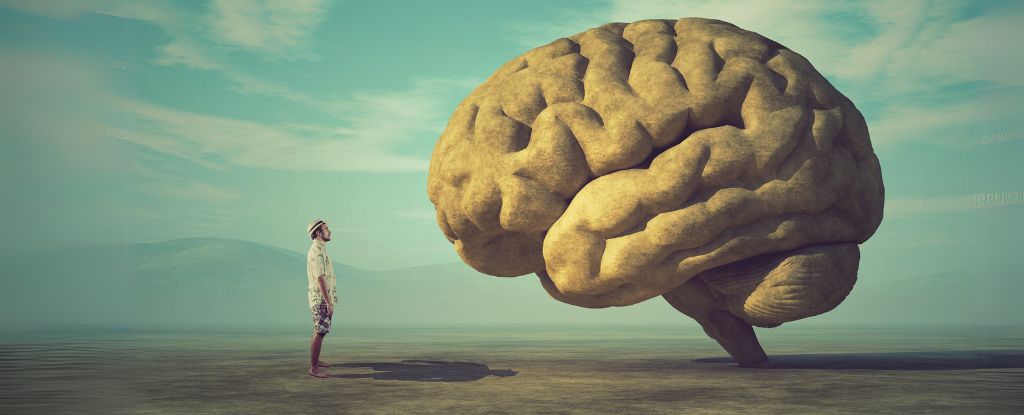 Scientists Don't Know Why Consciousness Exists, And a New Study Proves It