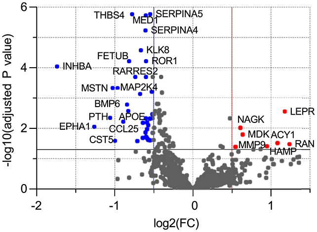 Protein production