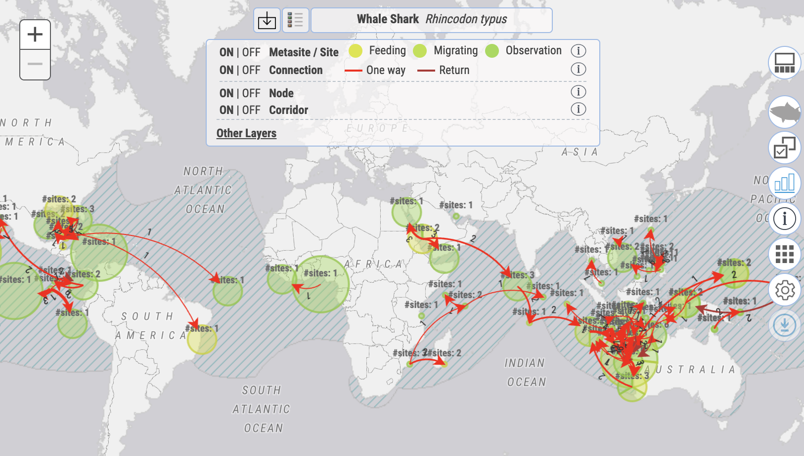 a world map marked with red arrows representing the migration data of whale sharks, clustered around equatorial regions.