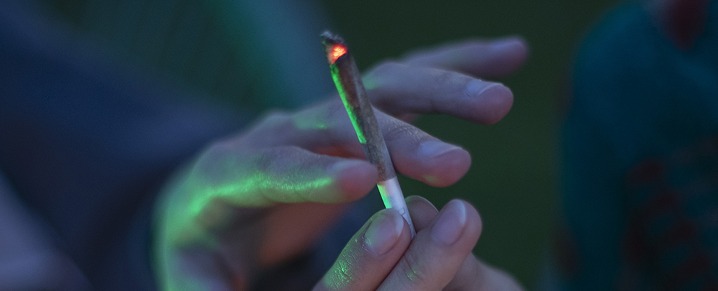 Does Cannabis Lower Sperm Quality? New Study Reveals a Surprise Result