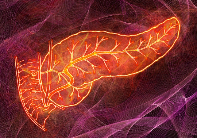 graphic of a pancreas